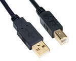 USB AM TO BM Printer Cable